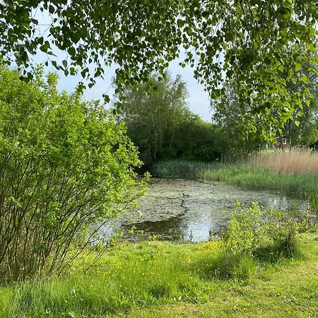 بيت للعطل Near The Water